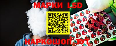 тгк Обь