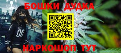 тгк Обь