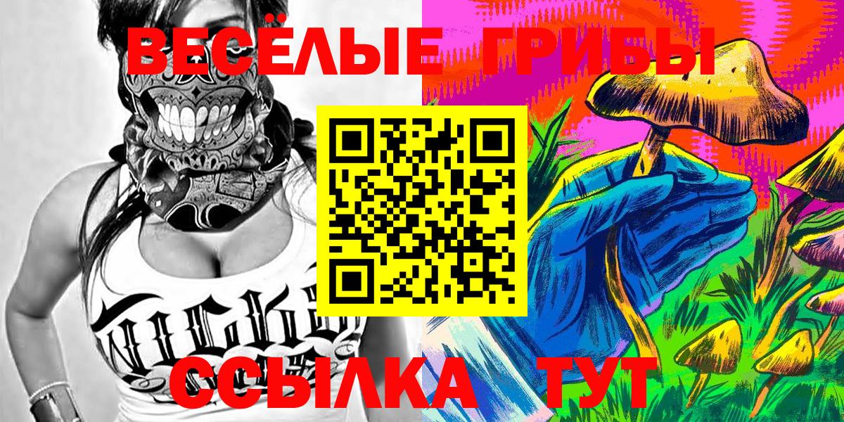 как найти   Псилоцибиновые грибы мухоморы  Вход с VPN  Псилоцибиновые грибы Psilocybine cubensis  Рыбинск 