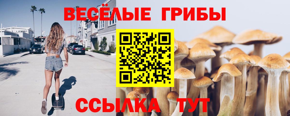 Псилоцибиновые грибы прущие грибы Рыбинск